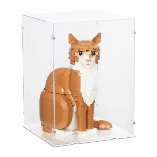 21376 Orange Cat - Display Case