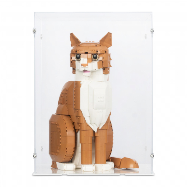 21376 Orange Cat - Display Case