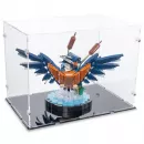 10331 Kingfisher Bird Display Case