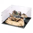 75396 Desert Skiff & Sarlacc Pit - Display Case